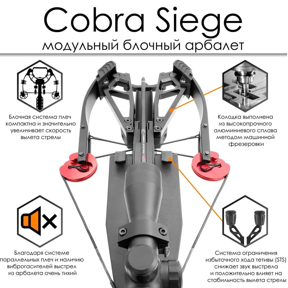 Cobra 300