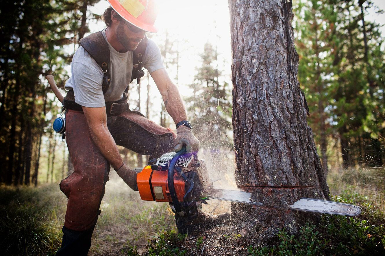 Пояс вальщика Stihl