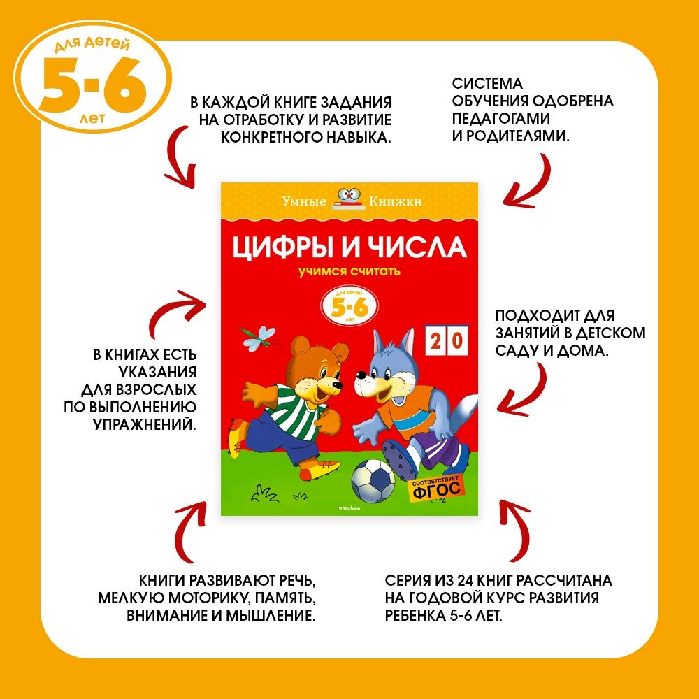 Грамотейка. Интеллектуальное развитие детей 5-6 лет | Reference Book - Ozon image 5