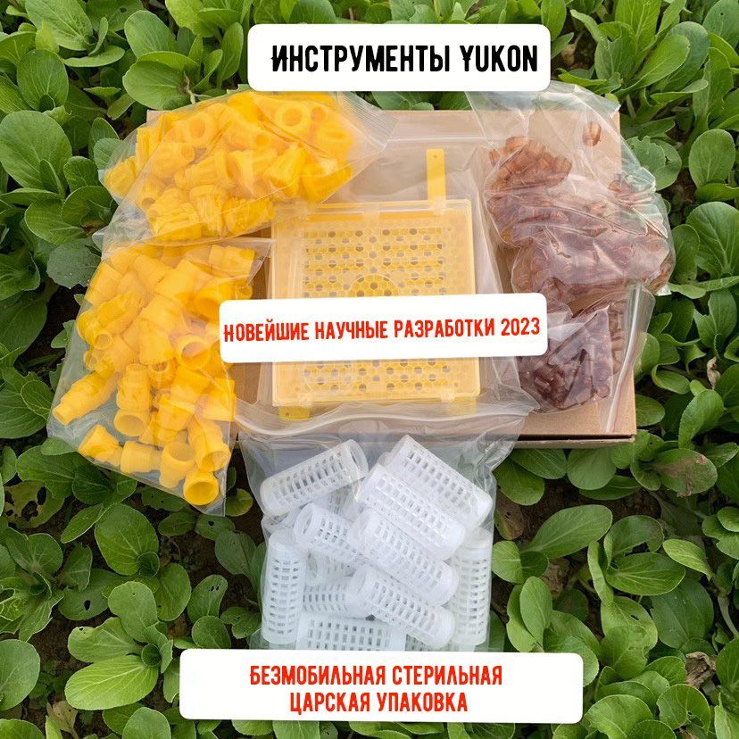 Инвентарь для вывода пчелиных маток - купить с доставкой по выгодным ...
