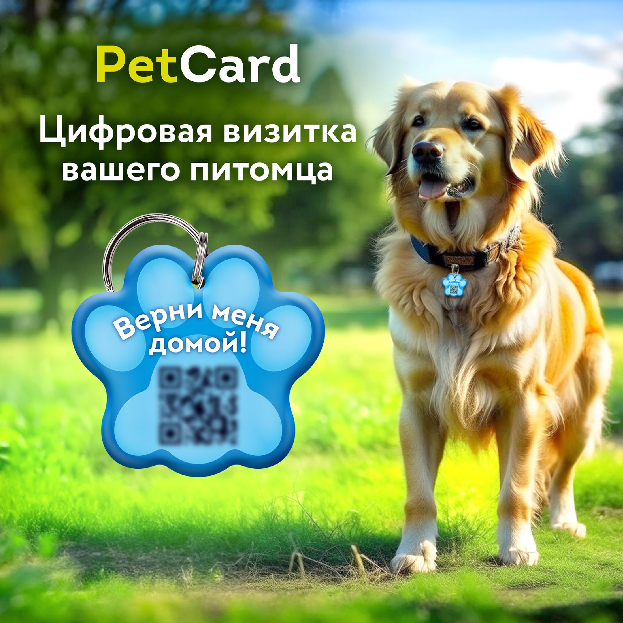 Цифровая визитка/ адресник PetCard для собак и кошек с QR кодом и NFC,  голубая.