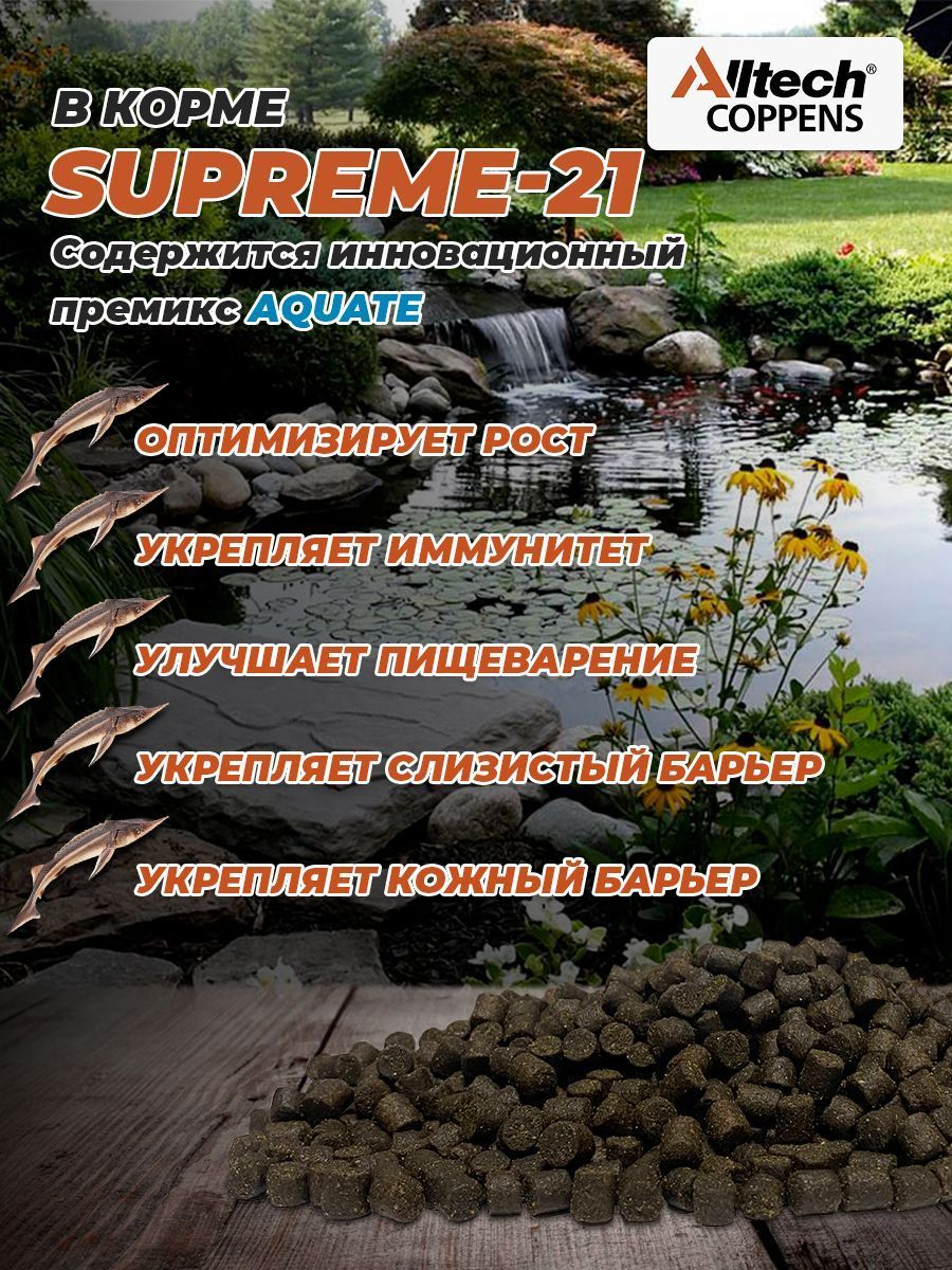 Корм для рыб Coppens Supreme-21 , фракция - 4.5 мм, 25 кг. - купить с  доставкой по выгодным ценам в интернет-магазине OZON (1168626342)