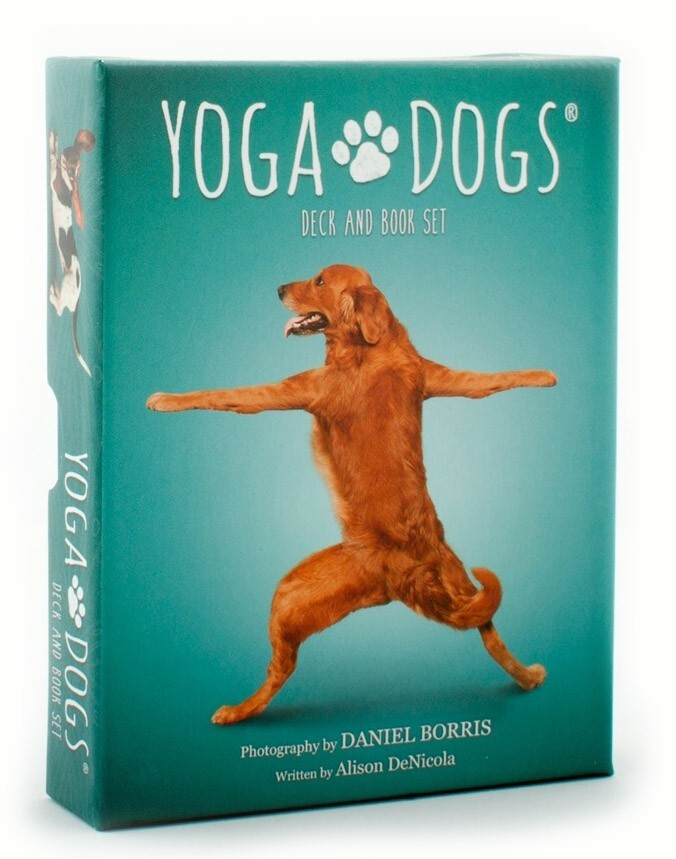 Карты Таро Йоги собак / Yoga Dogs Deck and Book Set U.S. Games