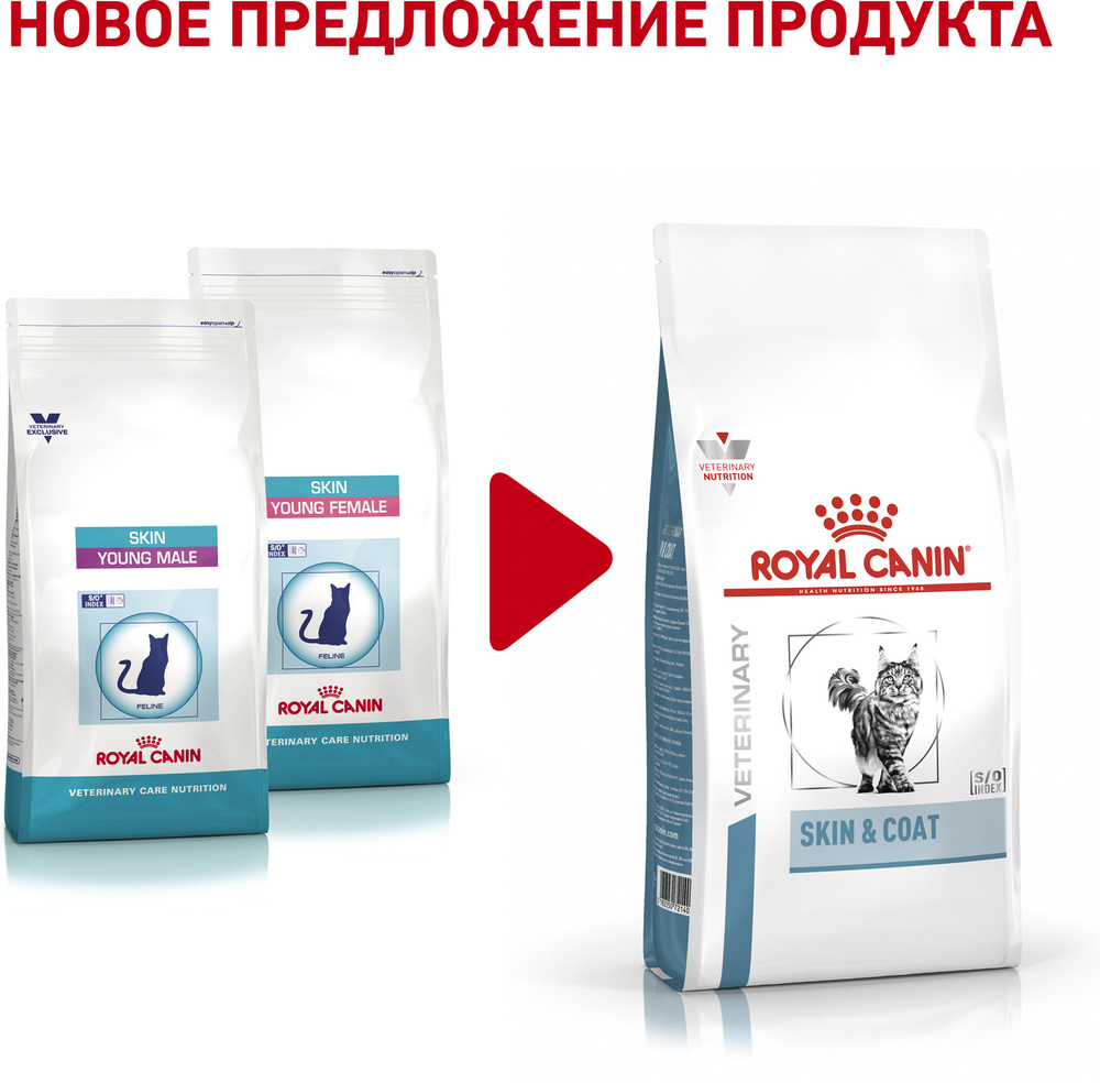 Royal Canin Skin & Coat Feline / Ветеринарный сухой корм Роял Канин для ...