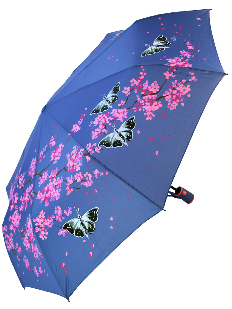 Зонт popular umbrella. Tom tailor зонт. Зонт flioraj 6097 fj. Зонты женские фултон. Зонт автомат.