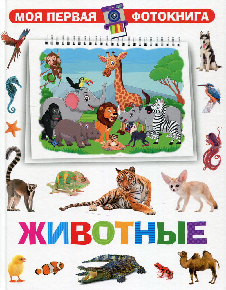 Животные #1