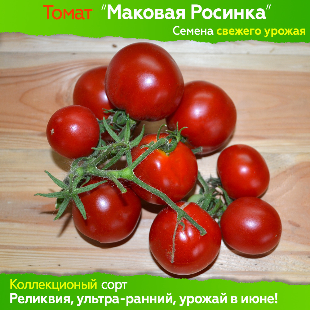 маковая росинка томат