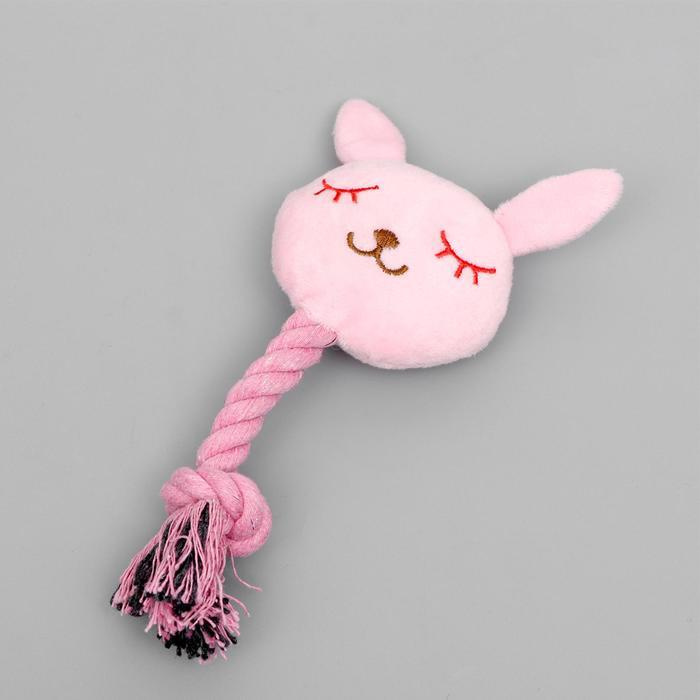 Мягкая игрушка для собаки "Зайка с канатом", с пищалкой, 18 см, розовая ...