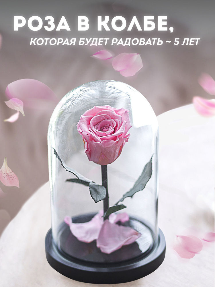 Долговечная роза в колбе Mini, стабилизированные цветы в стекле - Notta & Belle  #1