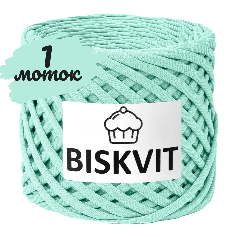 Трикотажная пряжа Biskvit тиффани, 100м., лицевая (бисквит) #1