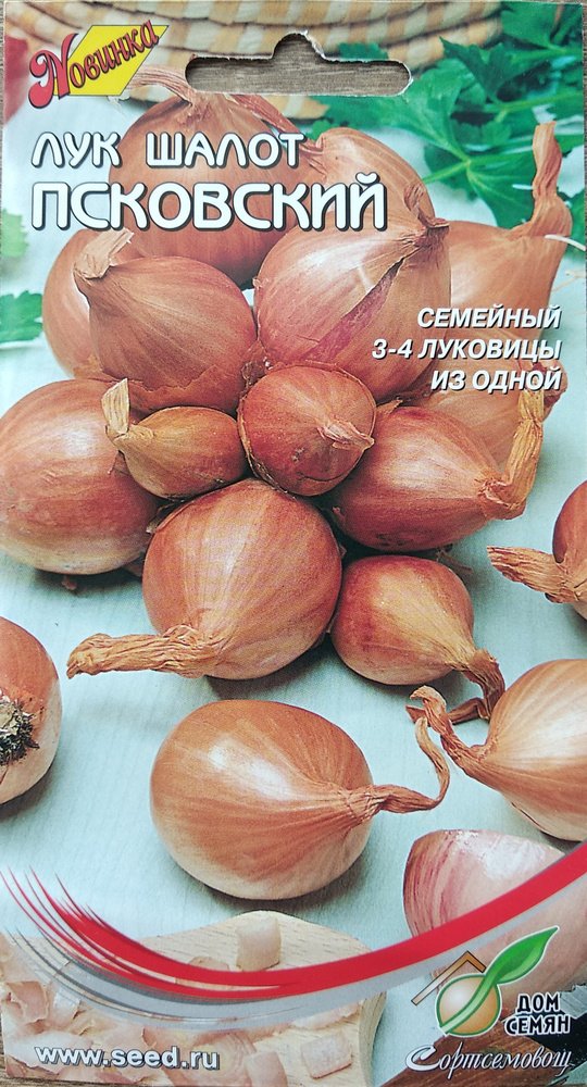 Лук Дом Семян Лук Шалот Истобенский, семейный салатный лук, 3-4 ...