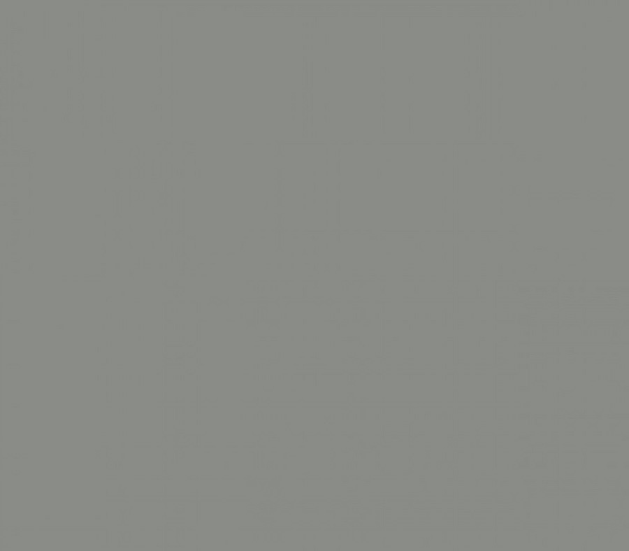 Фон VIBRANTONE Dark Grey 100х140 см, пластиковый, серый, матовый / глянцевый - купить с доставкой по выгодным ценам в интернет-магазине OZON (952455608)