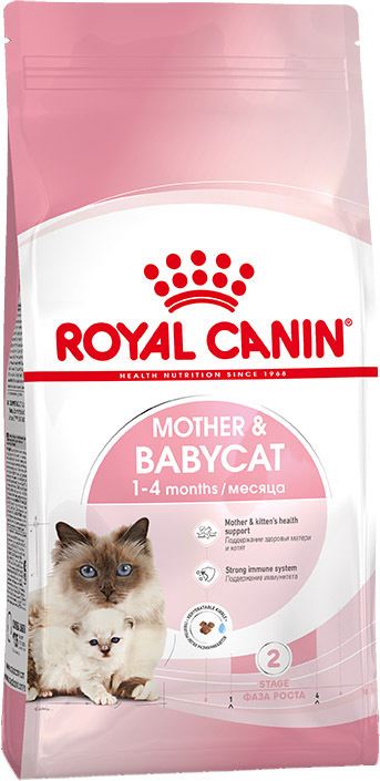 Royal canin baby hot sale and mother cat