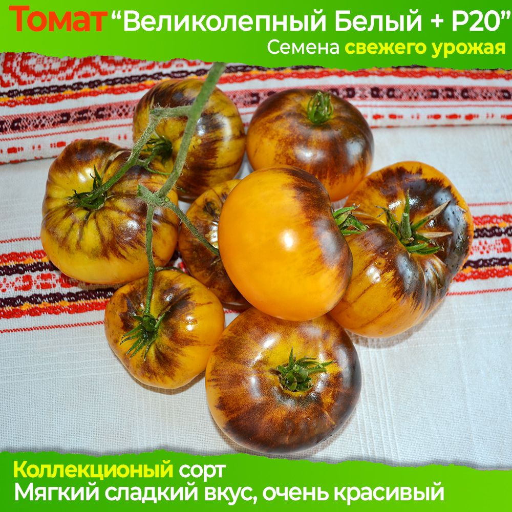 Семена томата Великолепный Белый + P20 - коллекционный сорт #1