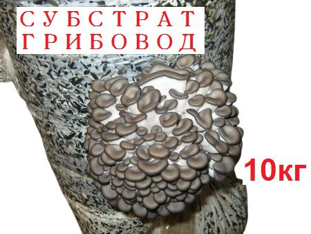 Грунт 17 л 1 шт для рассады для стимуляции роста и питания #1