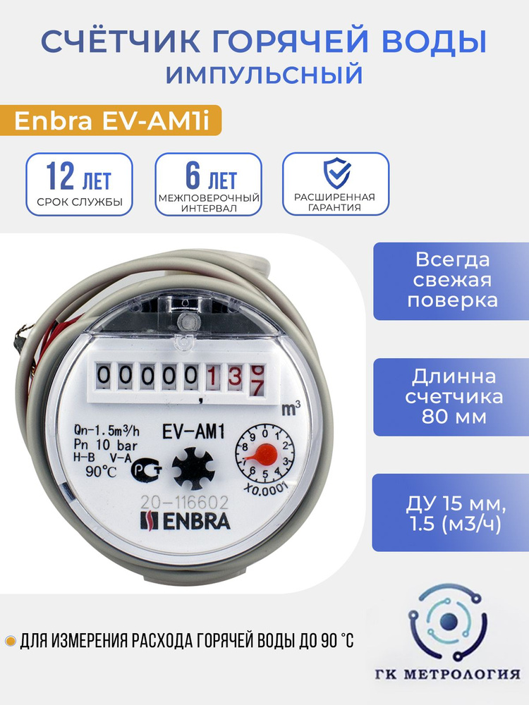 Счетчик воды Enbra EV-AM1i 80мм ГВС (импульсный выход) #1