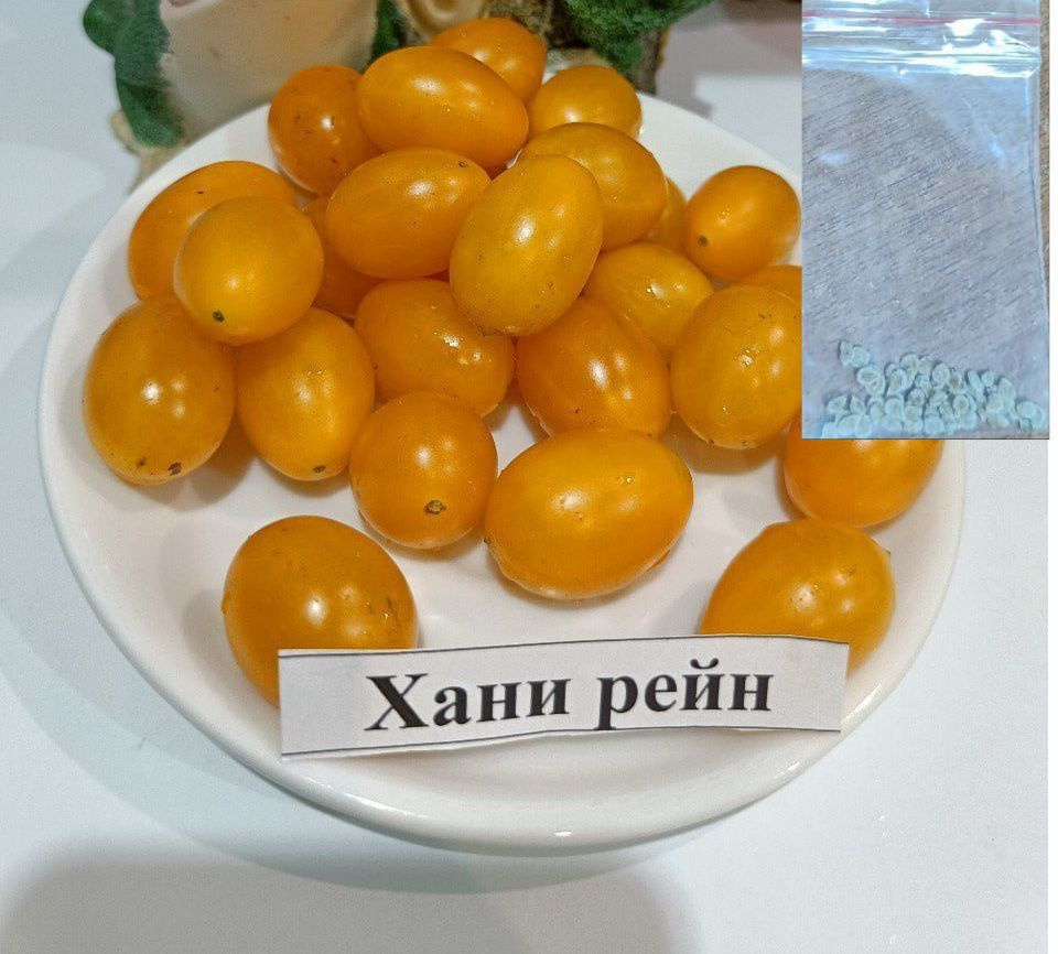 Семена #1