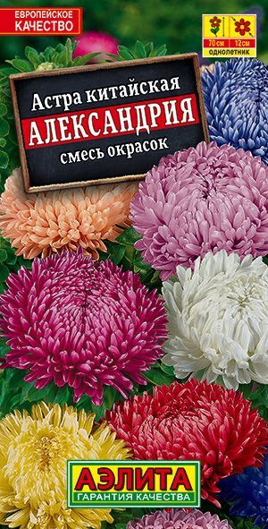 Астра "Александрия" (смесь сортов). Семена цветов. #1