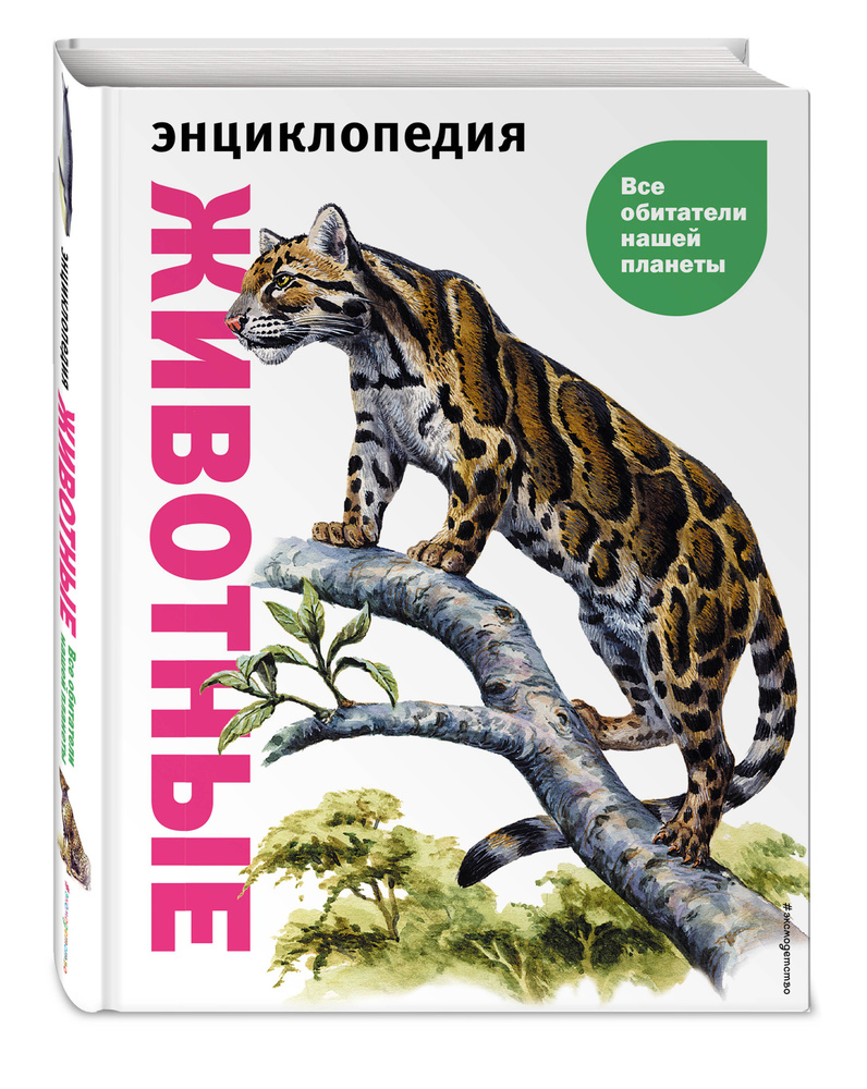 Животные. Все обитатели нашей планеты | Элдертон Дэвид - купить с доставкой  по выгодным ценам в интернет-магазине OZON (820950593)