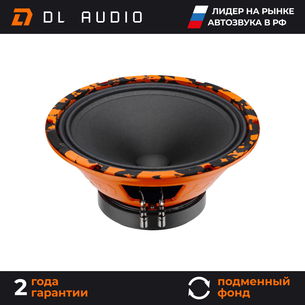 Динамики автомобильные 25 см DL Audio Gryphon Pro 250 пара #1