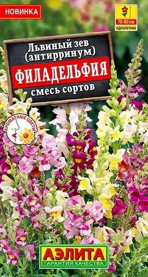 ЛЬВИНЫЙ ЗЕВ Филадельфия. Семена. Вес 0,1 гр. Смесь характеризуется продолжительным пышным цветением, #1