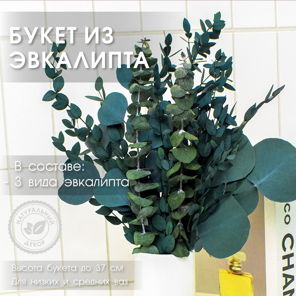 ENiNE decor Стабилизированные цветы Эвкалипт, 37 см, 60 гр