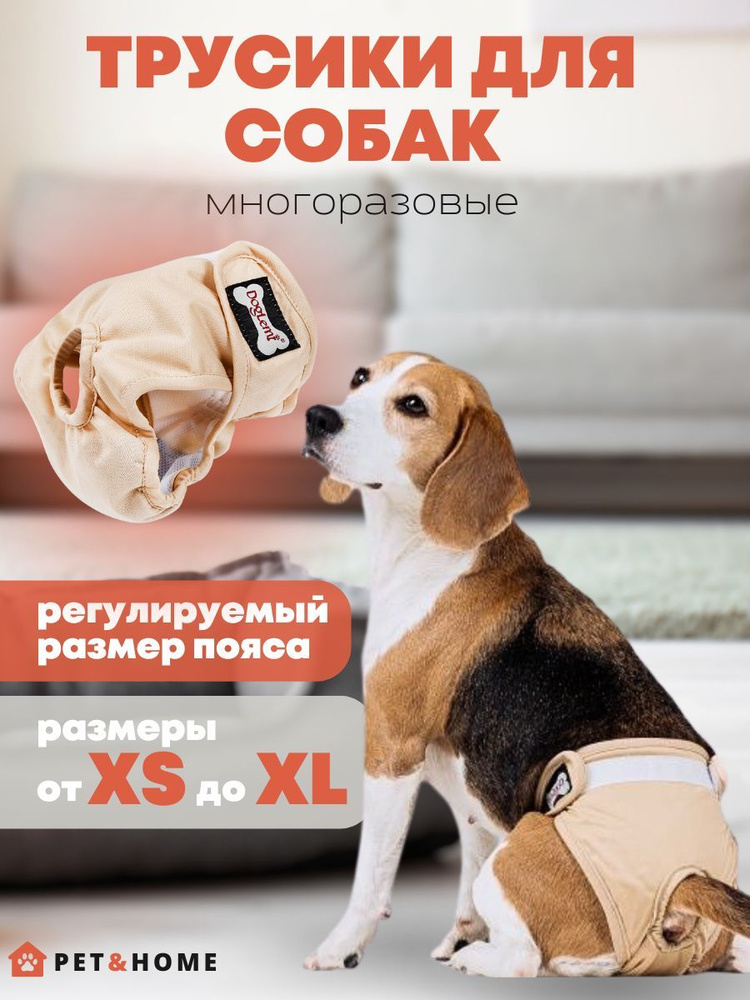 Трусы для собаки во время течки PET&HOME, подгузник для собак, бежевый,  размер S - купить с доставкой по выгодным ценам в интернет-магазине OZON  (640159445)