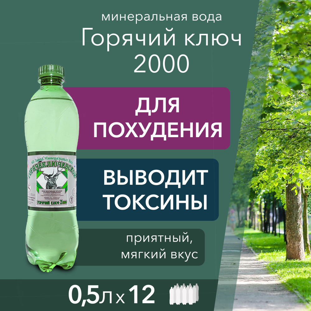 Вода Минеральная Газированная 500мл. 12шт купить на OZON по низкой цене ...
