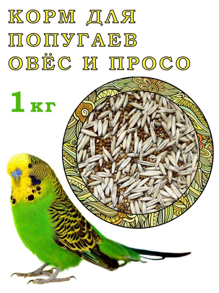 Корм для попугаев "Просовёс" #1