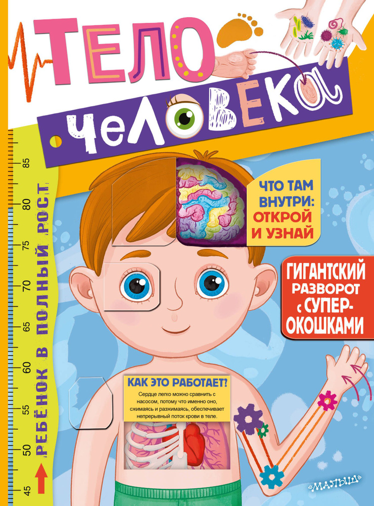 Тело человека. Гигантский разворот с окошками #1