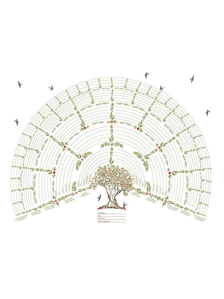 Раскраска Семейное древо распечатать бесплатно