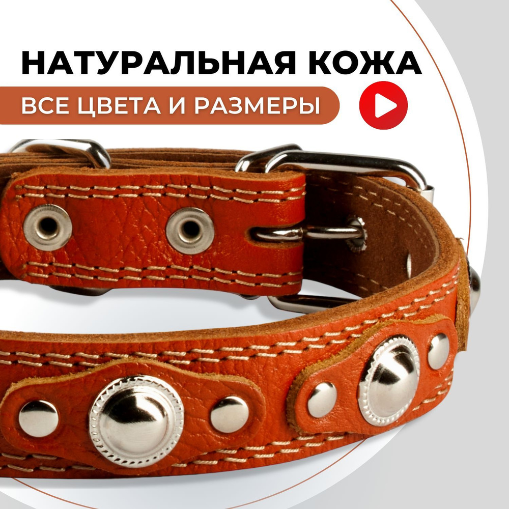 Ошейник кожаный для собак средних пород, для щенков больших собак #1