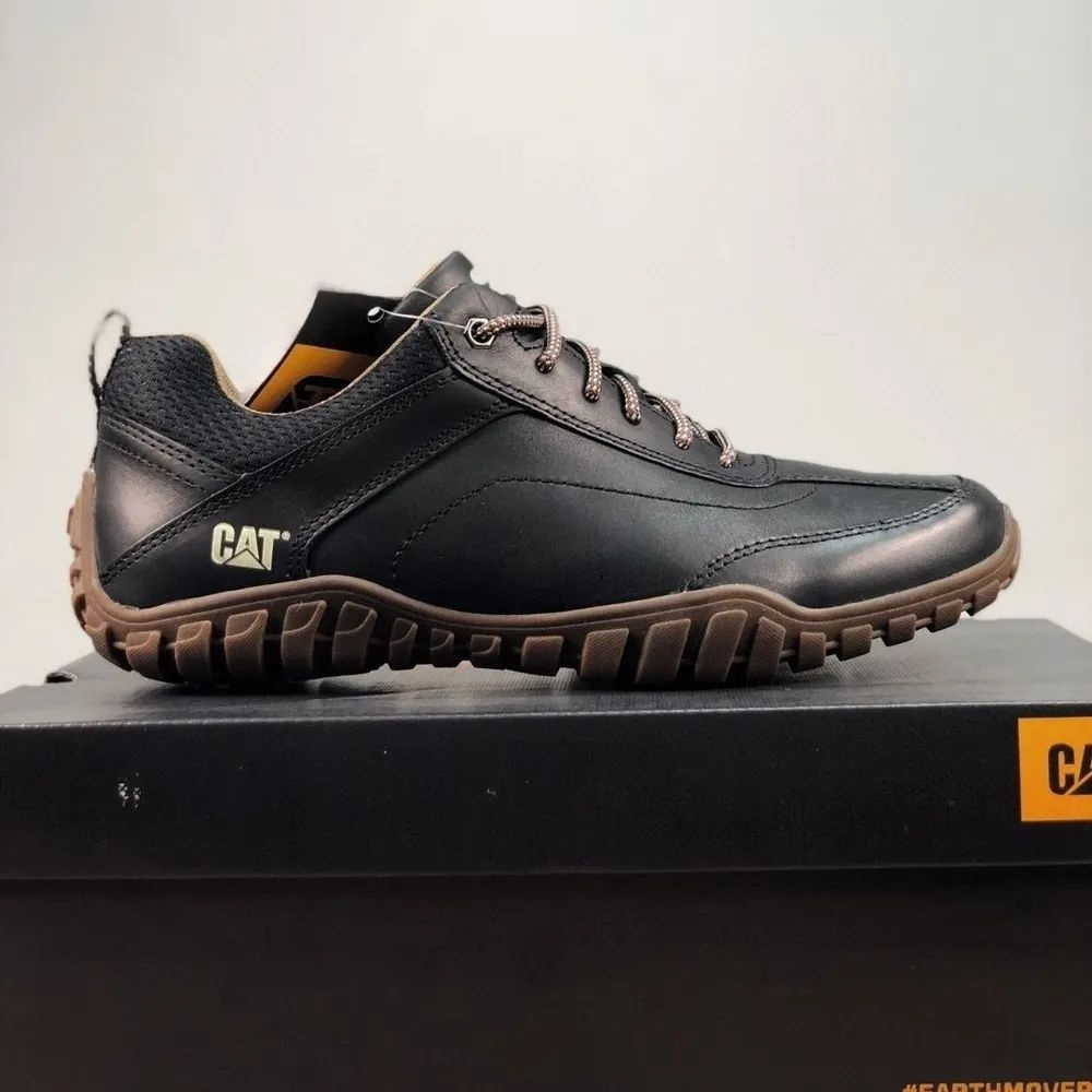 cat arise shoe