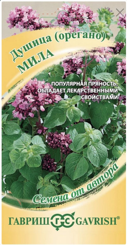 Душица Мила (орегано), 1 пакет, семена 0,1 гр, Гавриш, лекарственные травы  #1