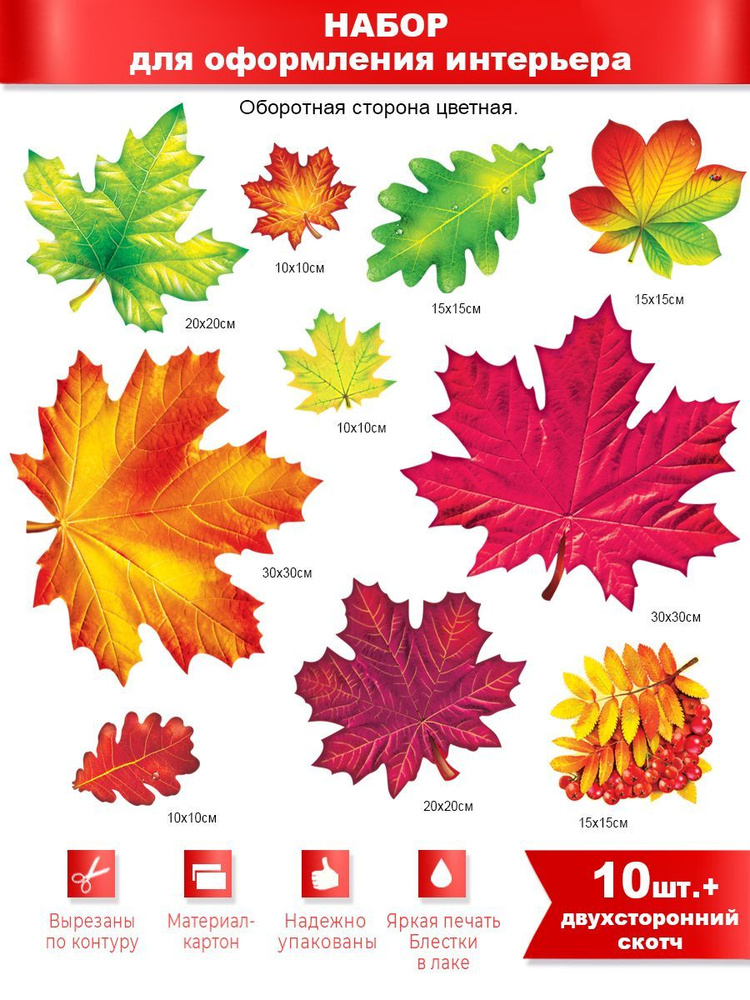 Набор осенний Листья клена, дуба и рябины(10 шт.), красный, зеленый,  картон купить по выгодной цене в интернет-магазине OZON (1130612729)