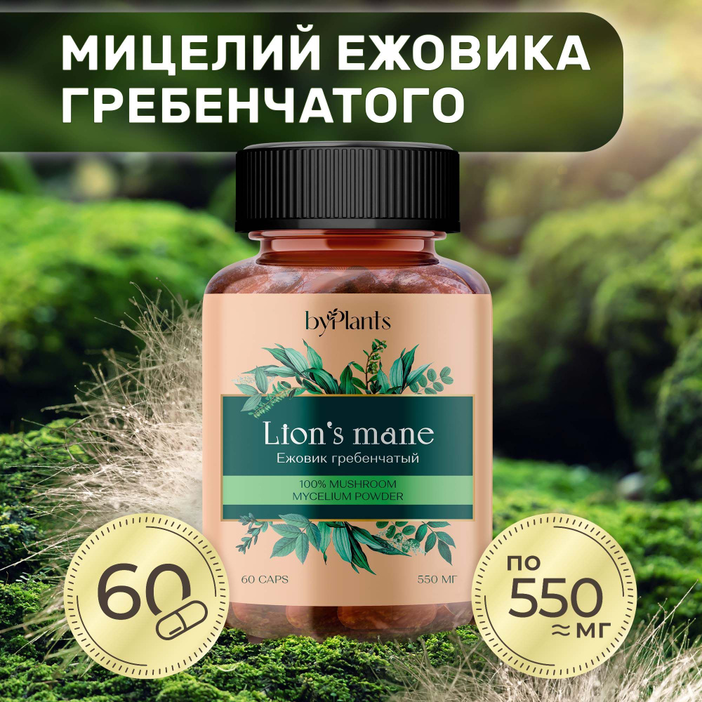 Мицелий ежовика гребенчатого экстракт (10 к 1) в капсулах 60 шт ...