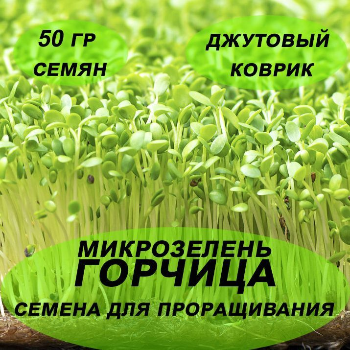 Трава микрозелень Горчица для проращивания 50 гр. с джутовым ковриком.  #1