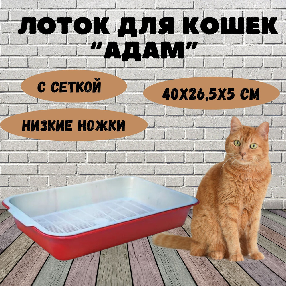 Лоток для кошек "Адам" с сеткой низкие ножки, 40х26,5х5 см #1