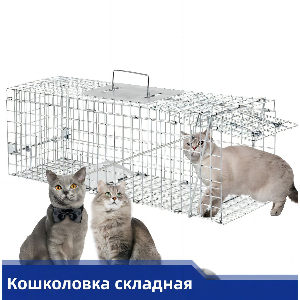 Ловушка, живоловушка, котоловка/разборный - купить с доставкой по ...