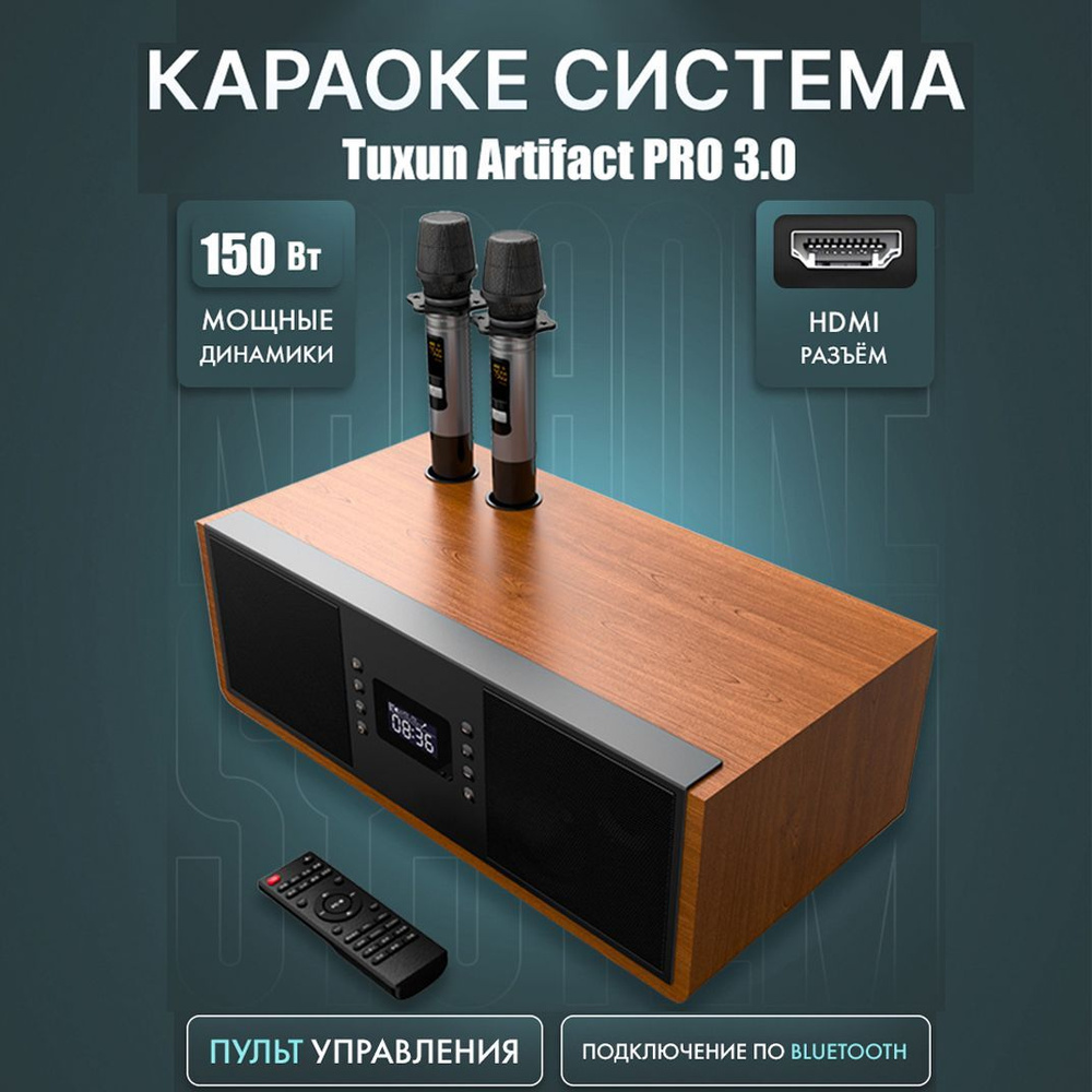 Караоке система для дома Tuxun Artifact Pro 3.0 с двумя микрофонами -  купить с доставкой по выгодным ценам в интернет-магазине OZON (895432506)