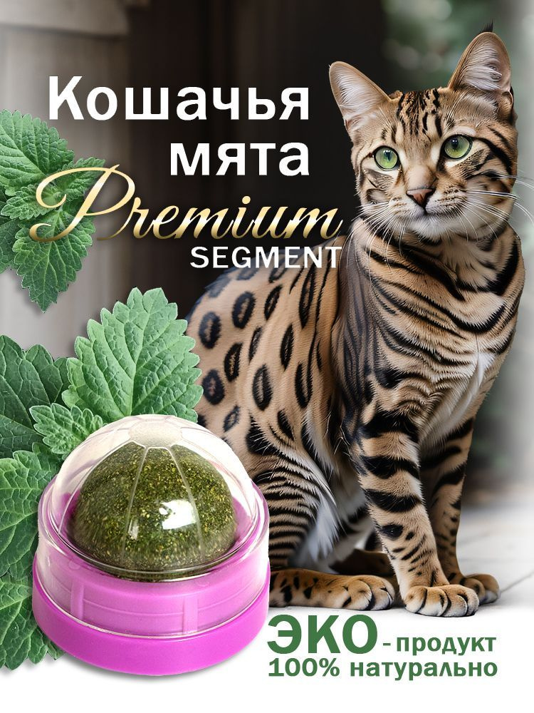 Шарик Игрушка с кошачьей мятой, мататаби для Котов, Кошек и Котят ...