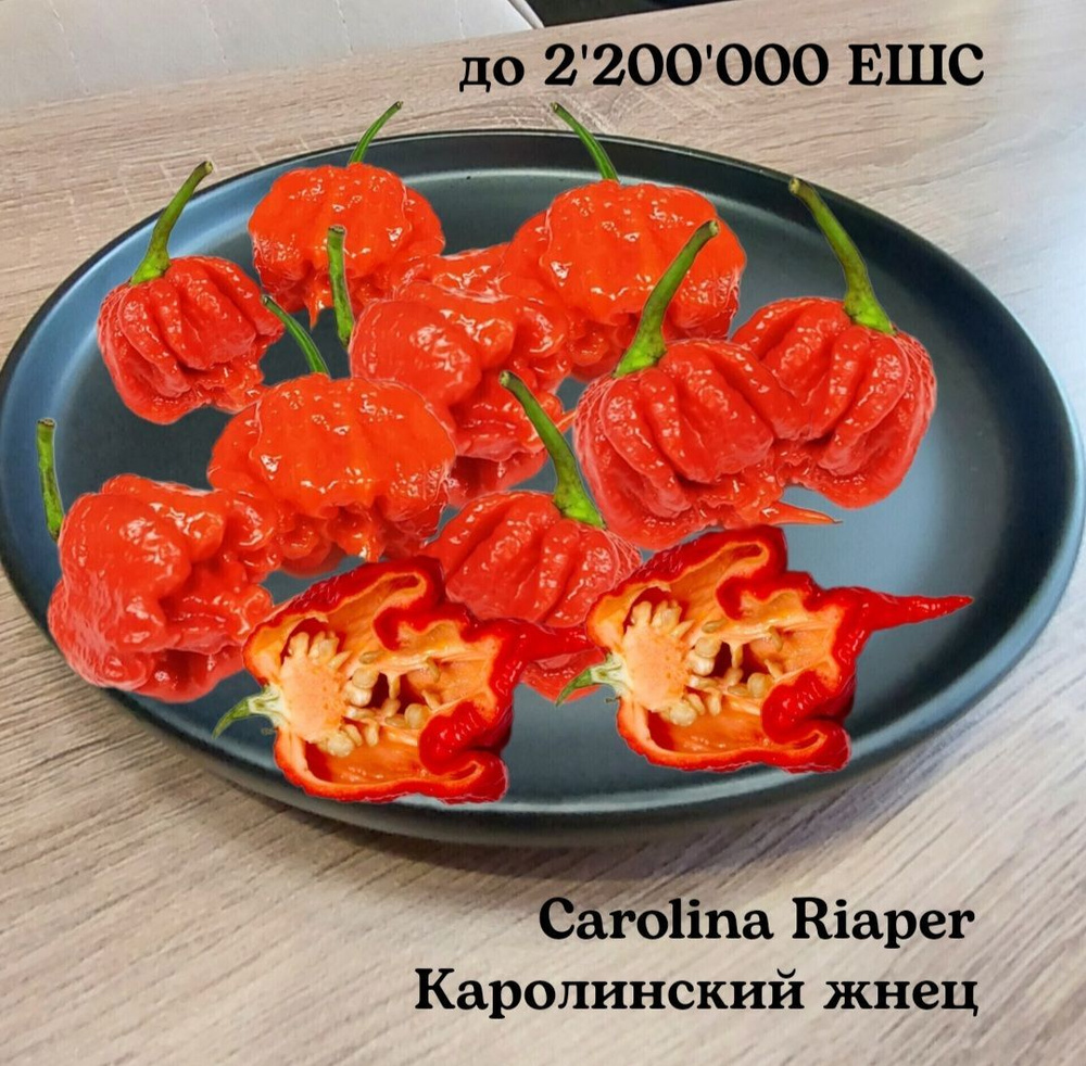 Перец острый Коллекционные перец 1 - купить по выгодным ценам в ...