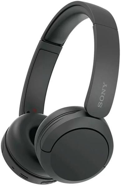 Наушники Sony WH-CH520/BZ черный #1