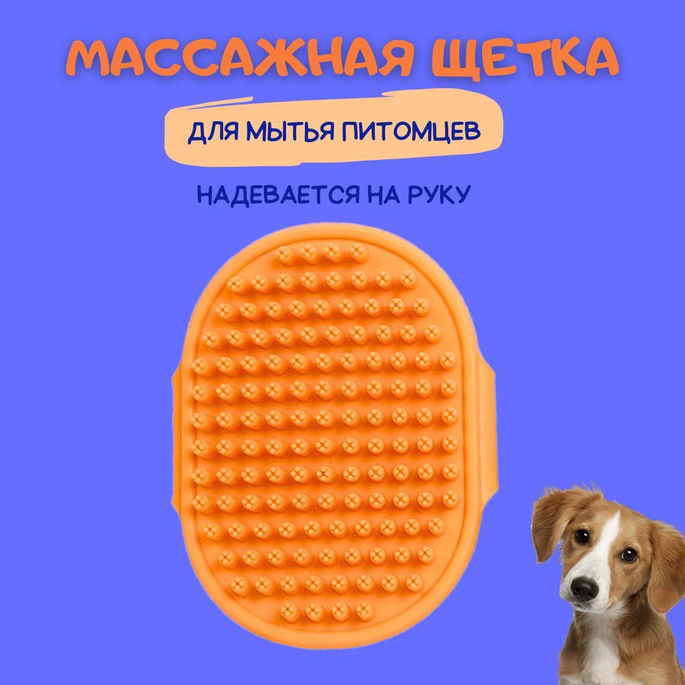 Щетка - губка массажная для мытья собак и кошек оранжевая  #1