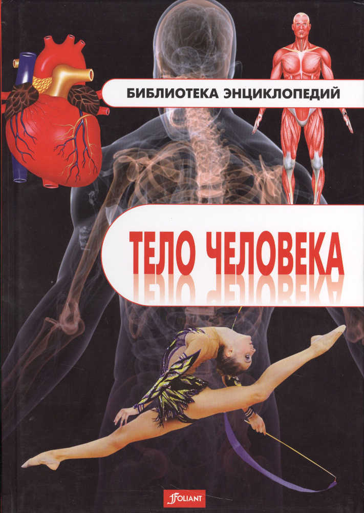 Тело человека #1
