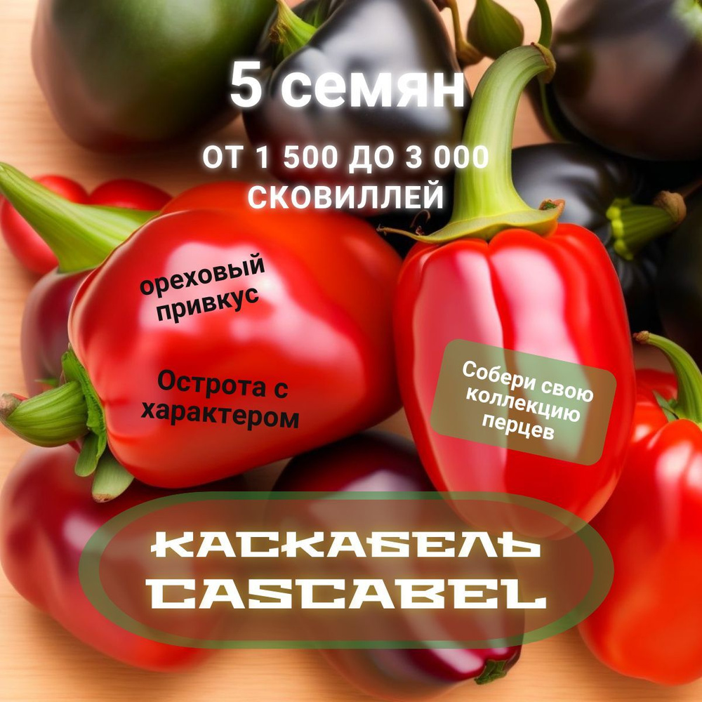 Солянум (Паслен) Плантаго Острый перец 1-2 млн_Cascabel - купить по  выгодным ценам в интернет-магазине OZON (1196392870)