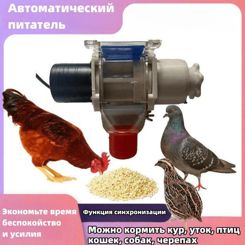 Электрическая автоматика для кур, перепелов, уток, гусей, с функцией ...