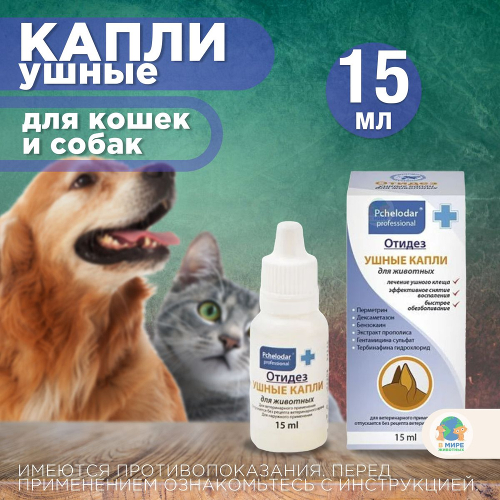 Отидез ПЧЕЛОДАР, для собак и кошек, ушные капли, 15 мл. Гентамицин. -  купить с доставкой по выгодным ценам в интернет-магазине OZON (1312659750)