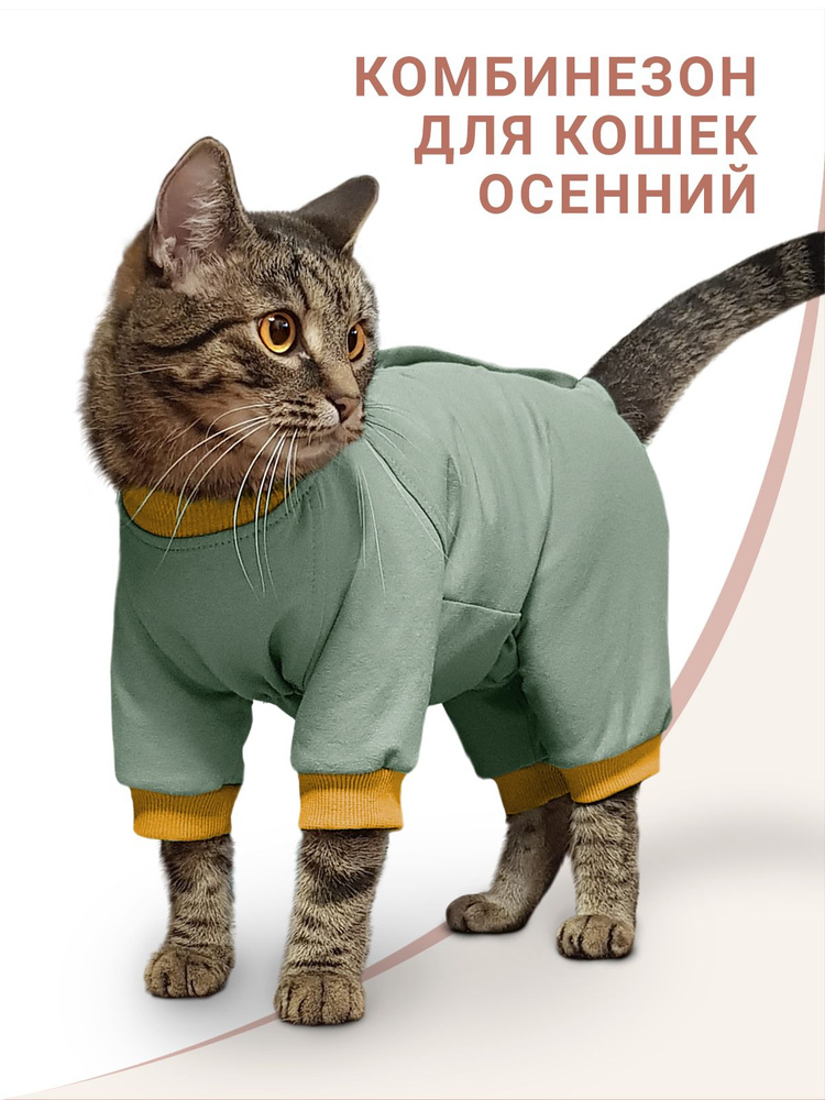 Одежда для кошек / комбинезон для кошки Золотце-2 / сфинкс - купить с  доставкой по выгодным ценам в интернет-магазине OZON (1295500164)