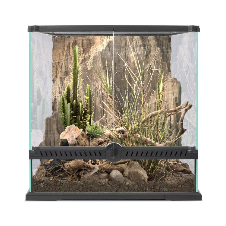 Террариум Nomoy Pet Rainforest tank S2 30х30х30см - купить с доставкой ...